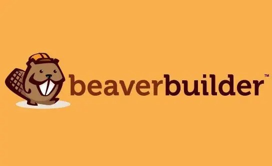 BEAVER BUILDER PROFESSIONAL WORDPRESS PLUGIN